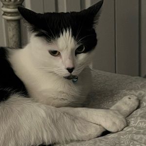 Meet your Posher, Washington